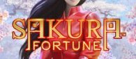 Слот&nbsp;&mdash; Sakura Fortune